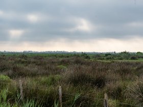 0603 Salin-de-Giraud